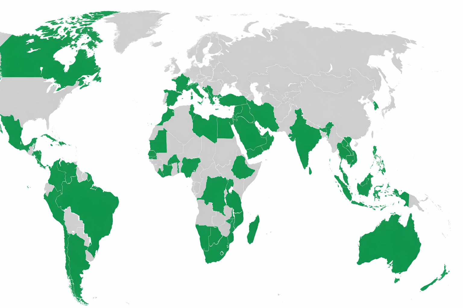 Ferchem Misr Export Map